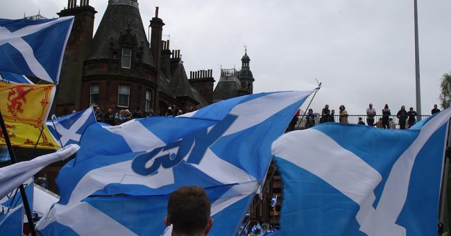 Saltires and Yes Flags